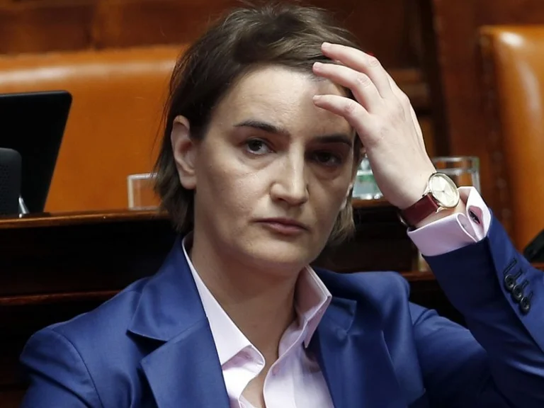 Brnabyq: El servicio ruso nos dio información sobre incidentes ayer en protesta