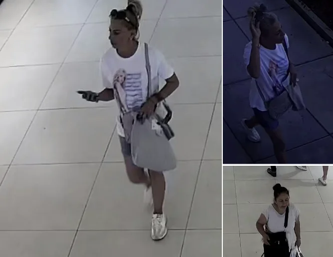 Chief theft in July, police seek assistance in identifying two suspects