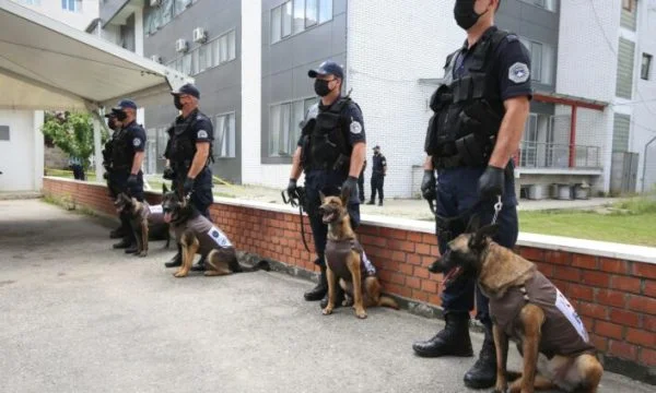 Polizia del Kosovo comprare otto cani