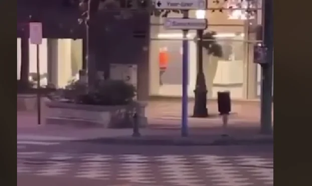 Striker che ha ucciso due svedesi è ancora in fuga, in piedi illegalmente in Belgio