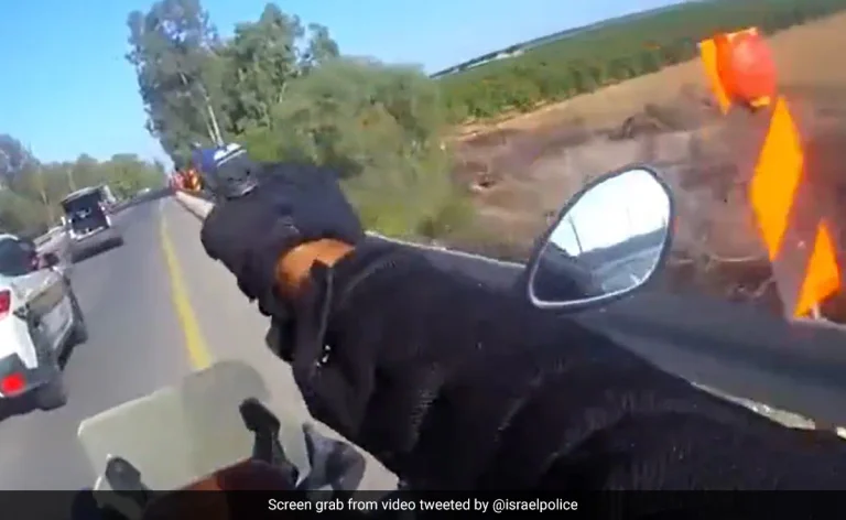 Momenti kur polici izraelit qëllon për vdekje dy terroristë të Hamasit teksa po iknin me veturë në autostradë (VIDEO)