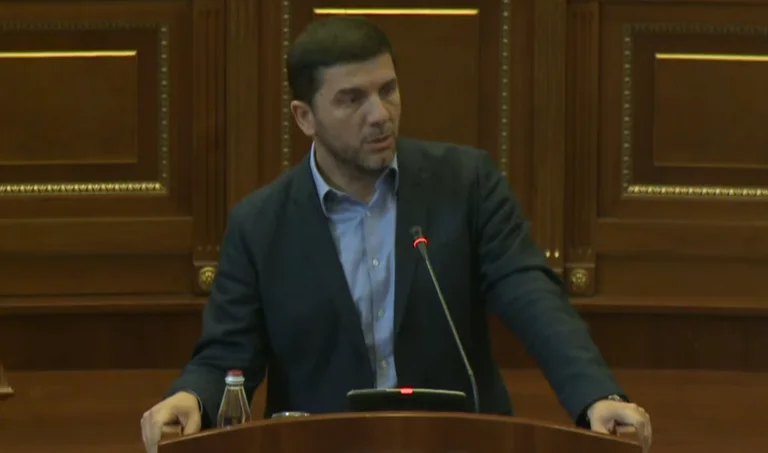 Krasniqi-Kurtit: Ju jeni shembulli më i keq i opozitarit, nuk e keni votuar as MSA-në