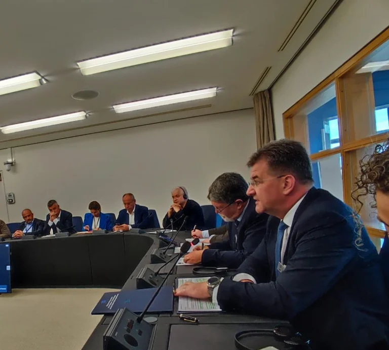 Lajçak takohet me eurodeputetët në Strasbourg, diskutojnë për dialogun Kosovë-Serbi