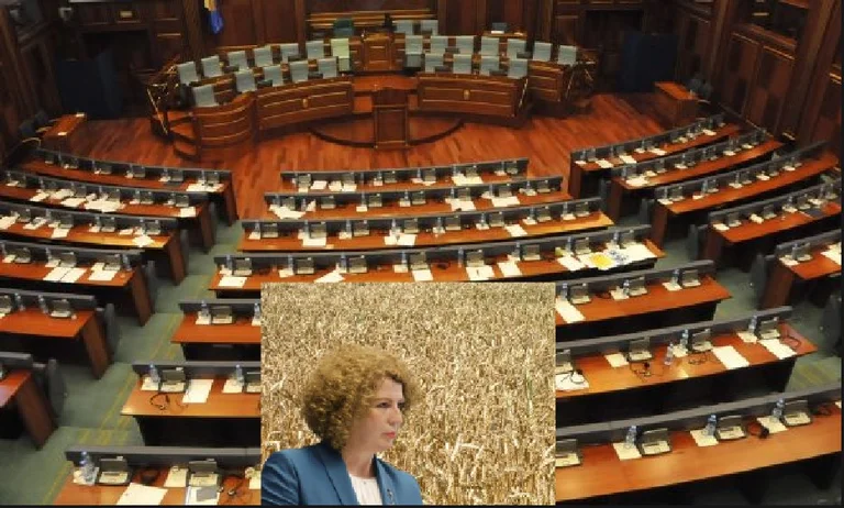 Afera e grurit dhe e vajit: Themelohet Komisioni Hetimor për rezervën shtetërore