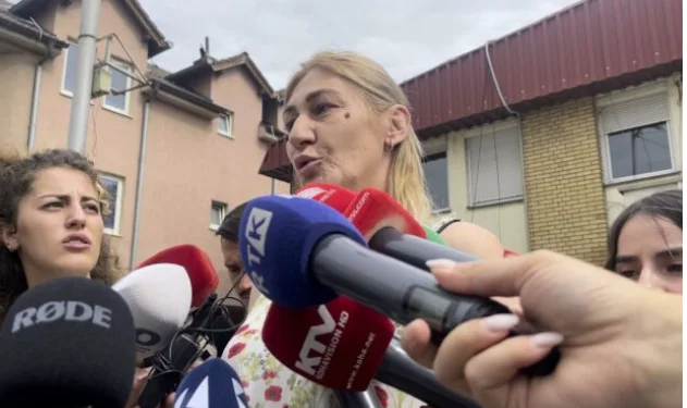 Një nënë shkon para çerdhes në Fushë-Kosovë: Denoncon raste të tjera dhune