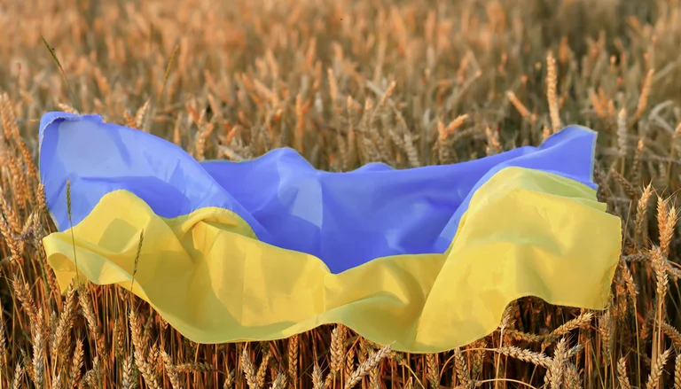 Raketat ruse godasin një objekt bujqësor në Odesa
