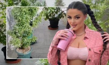 Enca Hadzia a été arrêtée, a planté du cannabis dans l'appartement