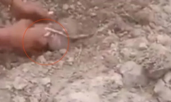 Surprising view: The moment the newborn baby is brought out alive from ruins in Morocco