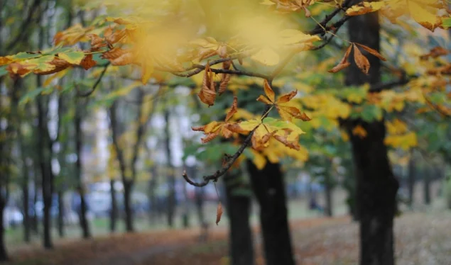 Nis vjeshta meteorologjike prej të premtës