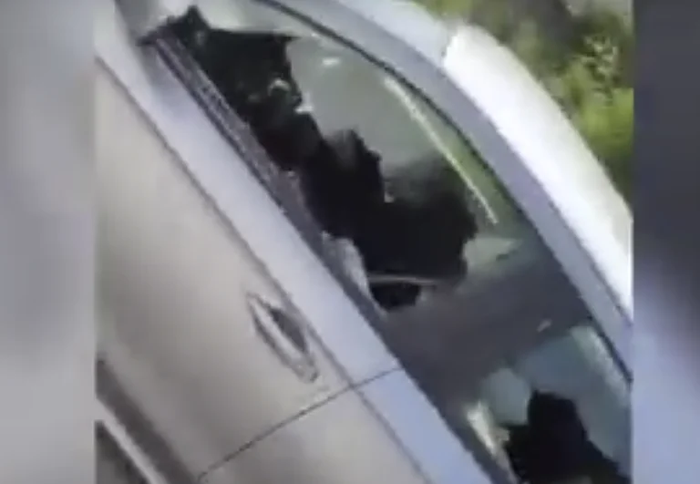 Xhama të thyer, pamje pas sulmit me bombë në shtëpinë e kryesuesit të Bordit të Trepçës