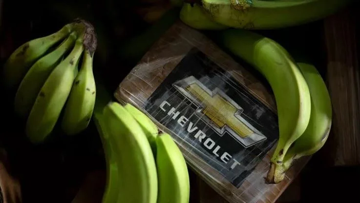 España incautó la mayor cantidad de cocaína en la historia del país dentro de cajas de banana