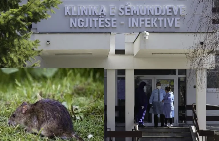 Il primo caso diagnosticato con <x0 minuti mice” in Kosovo è una donna di 53 anni