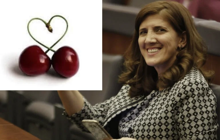 Gioia del cuore: Dopo numerosi scandali, Ganimet Musliu propone un nuovo logo per VV