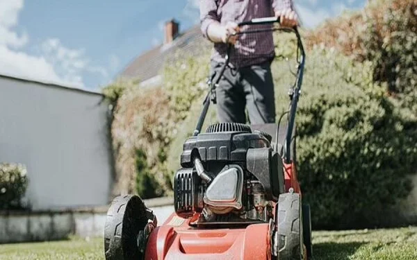 Motive news for the lazy: Take the grass just 11 minutes a day for better health