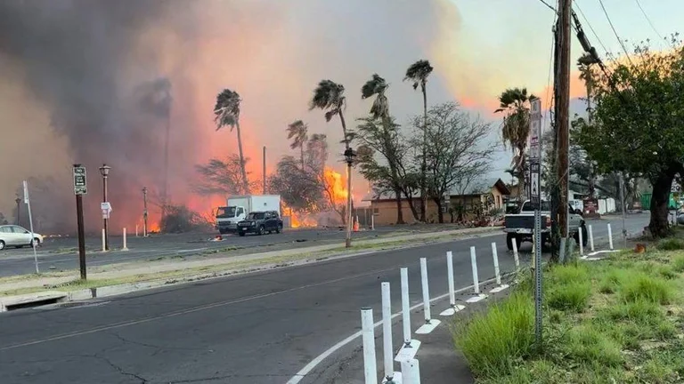 Die Anzahl der Opfer aus Hawaii-Feuer kommt in 106