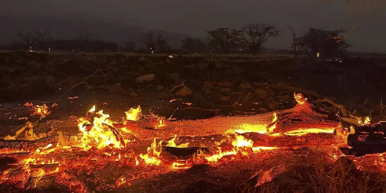Gouverneur von Hawaii: Rettungsteams können bis zu 20 Opfer pro Tag finden
