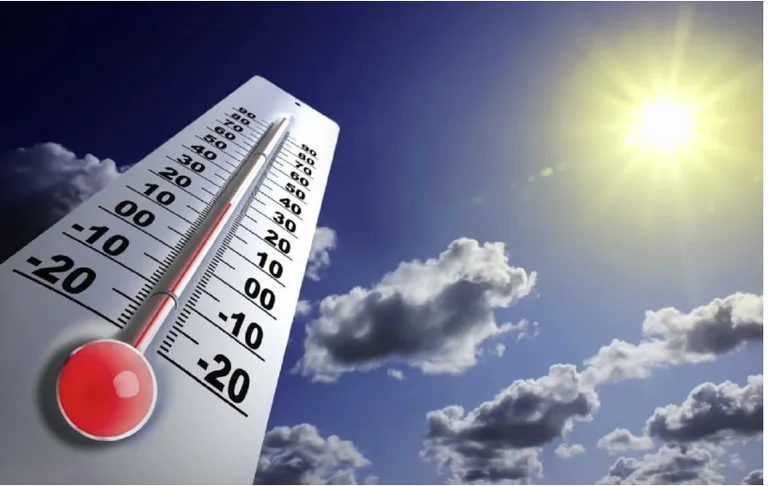 El tiempo soleado y parcialmente asesinado