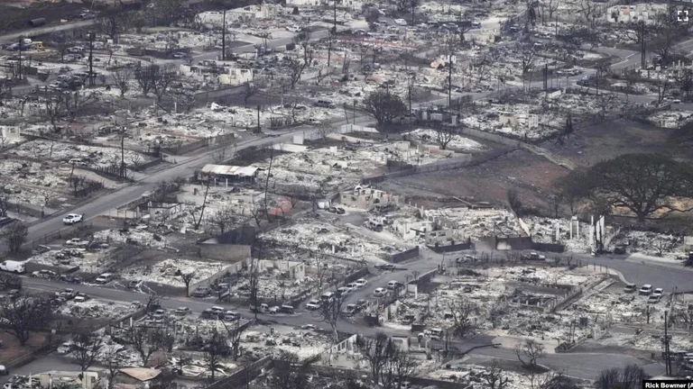 Forest fires in Hawaii leave 53 people dead