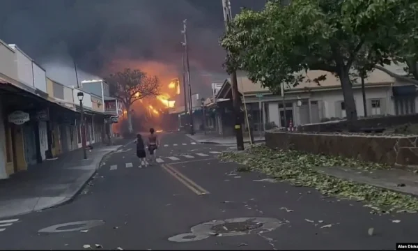 At least 36 dead because of the fires in Hawaii