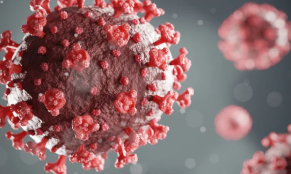 OBS: COVID-19 ya no representa una emergencia mundial de salud