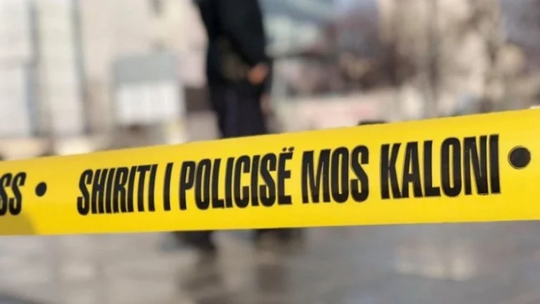 L'explosion de Ranilugu aurait eu lieu au bar du député de la liste serbe