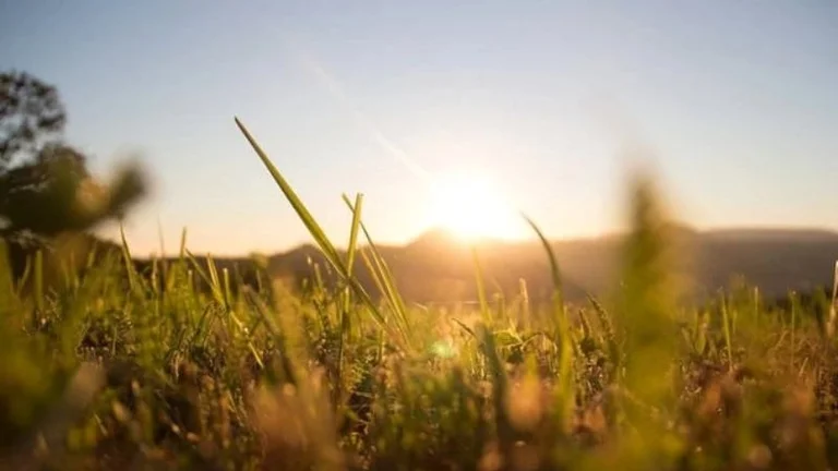November began with the sun, temperatures today up to 24 degrees