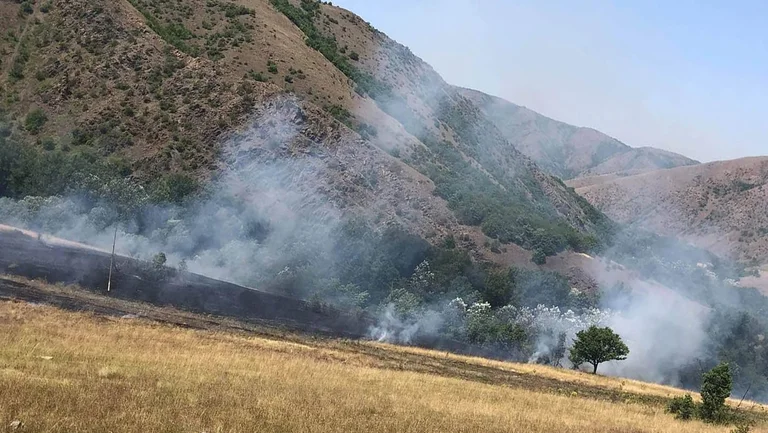 Kosova në listën e vendeve me rrezik ekstrem për zjarre pyjore