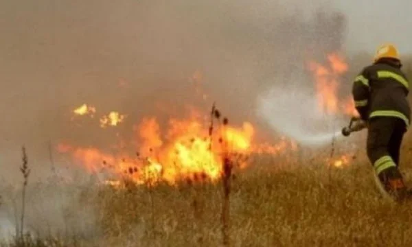 Circa 50 oro di grano è coinvolto nel fuoco Rahovec