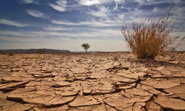 Scientifiques alarmés : réchauffement global sans précédent, nouveaux records de température attendus