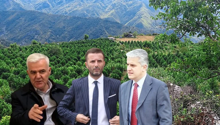 Légalisation/ Les trois socialistes qui ont voté contre Rama pour le cannabis