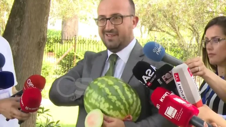 Albaniens MP geht mit Sattel, Fliesen im albanischen Parlament