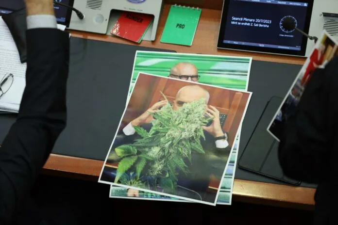 Berisha “Rama mit Cannabisblättern: Wo sind Sie?