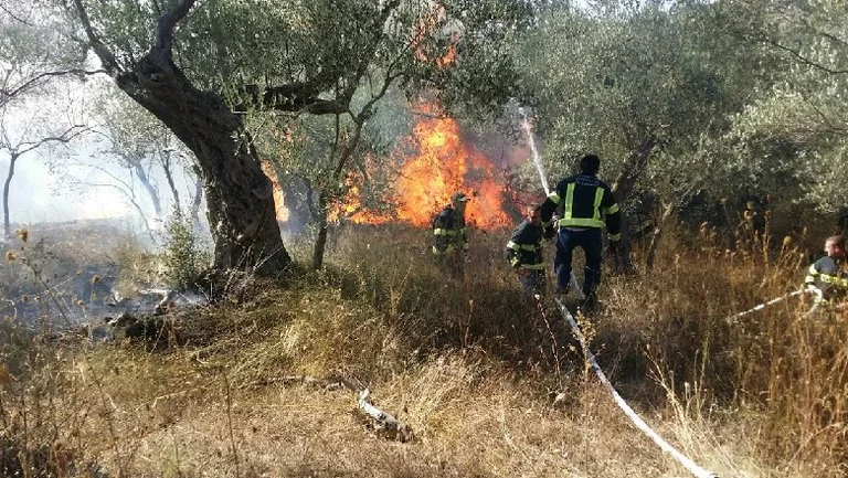 La police demande aux citoyens de ne pas allumer d'incendies : des mesures légales seront prises
