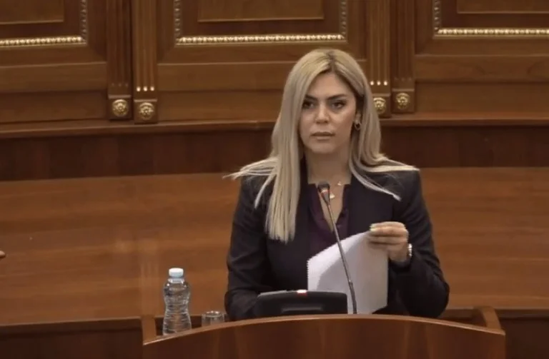 Deliu: Nous avons besoin d'une coordination avec les États-Unis, car Mimoza coordonne avec Radojciqi