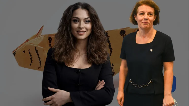 Kica-Jali is badly ironic with ministen Gervalla, posts a tiger of paper