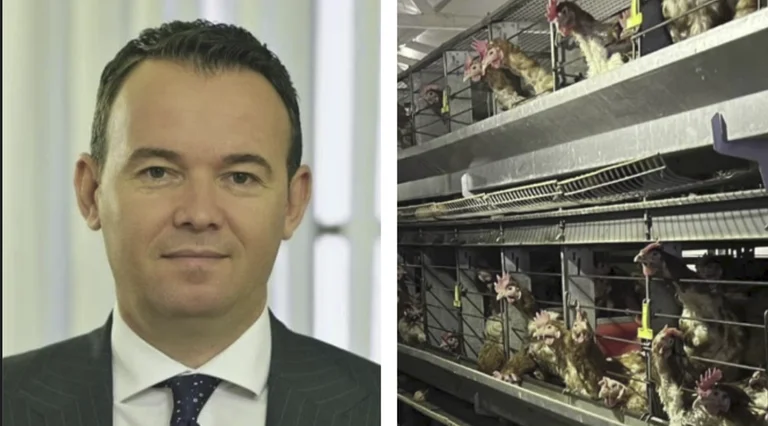 Faton Peci Ministry blockiert deutsche Tierrechtsaktivistin nach Kritik auf Facebook