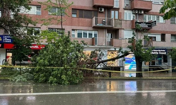 Strong winds take down trees in front of Pristina police station, country surrounded by tape