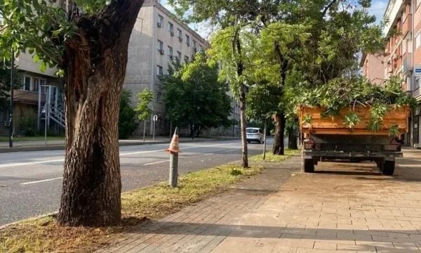 The storm in the capital, Rama, shows that oak fell on “road Haradinaj” has left