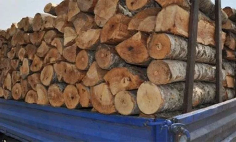 La police a confisqué des arbres venant de Serbie