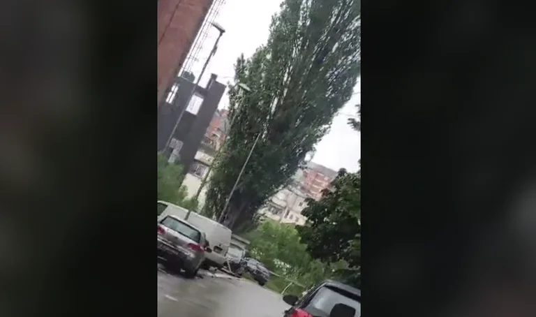 Syrenettes in the North (Video)