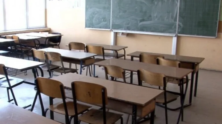 Expertos en educación: Las instituciones trabajan para mejorar el estado