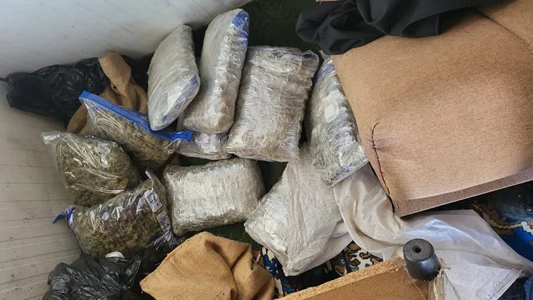 Operación: 6 sospechosos de tráfico de estupefacientes detenidos, incautados más de 12 kg de marihuana