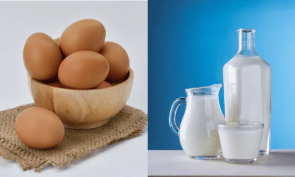 Qumështi, djathi e vezët, 16.6% më shtrenjtë se vitin e kaluar