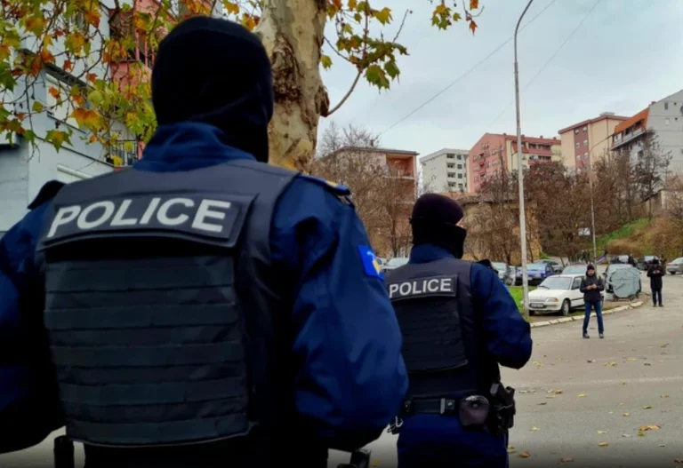 Policia ua zë pritën hajnave në Malishevë, përdoren edhe armët