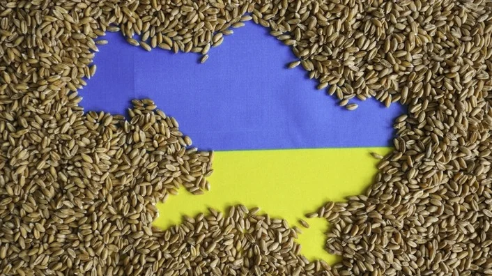 Zelensky dice que la prohibición de la importación de grano ucraniano de varios países europeos da esperanza a Kremlin