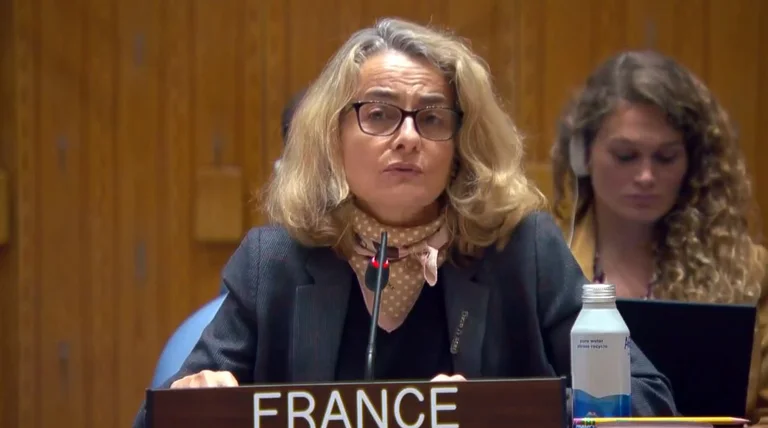 Francia: La Asociación, el regreso de los serbios a las instituciones de Kosovo deben ser prioritarios