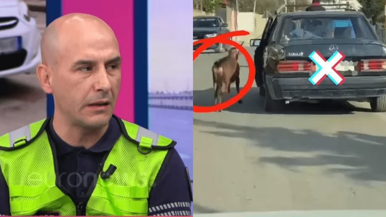 El policía revela el misterio del video: La persona que sacó la cabra junto al coche era un carnicero