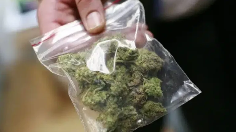 Tráfico de drogas prohibido en Dubrava