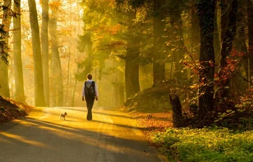 Walking extends your life, confirms the study.
