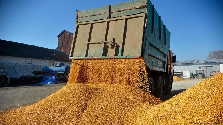 Por qué algunos países prohíben temporalmente las importaciones de Ucrania